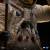 x_is33619_c.jpg