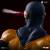 x_is33615_p.jpg
