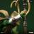 x_is33611_g.jpg