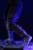 x_is33496_k.jpg