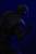 x_is33496_s.jpg