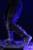 x_is33496_w.jpg