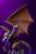 x_is33464_j.jpg