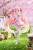 x_taito452033100_j.jpg