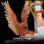 Tsume - CAPTAIN TSUBASA - Tsubasa Ozora - Statue Ikigai 1/6 By Tsume 43cm