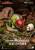 Beast Kingdom - HOW TO TRAIN YOUR DRAGON - 6 Figure set 8.9cm
