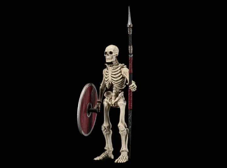 x_fhtd-sklebu3_d.jpg
