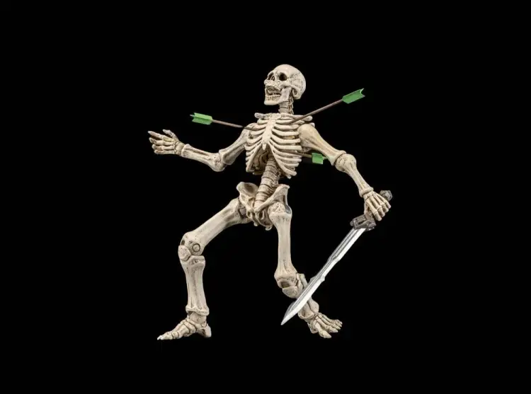 x_fhtd-sklebu3_e.jpg