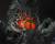 x_btn84022_f.jpg