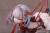 x_anig18092_y.jpg