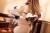 x_pich29034_o.jpg
