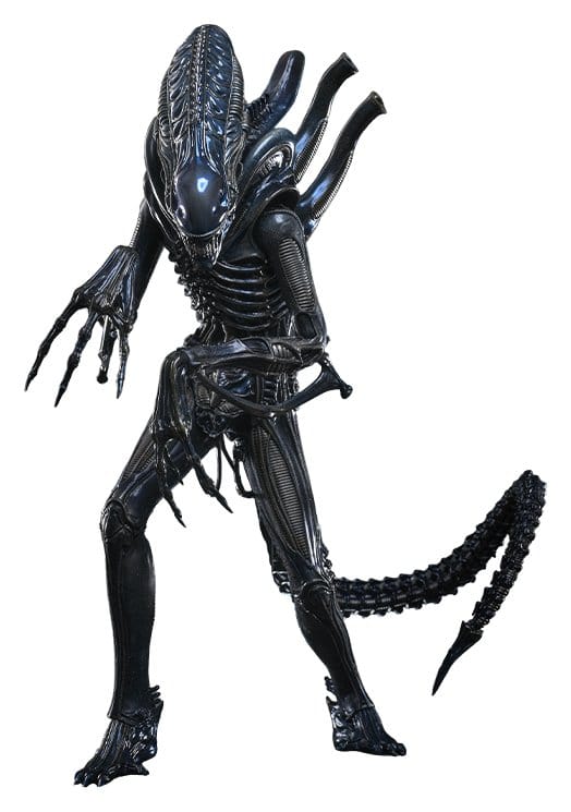 x_hot915785.jpg