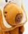 x_joy25295_c.jpg