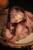 x_sh59001_h.jpg