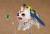 x_mafc07031_c.jpg
