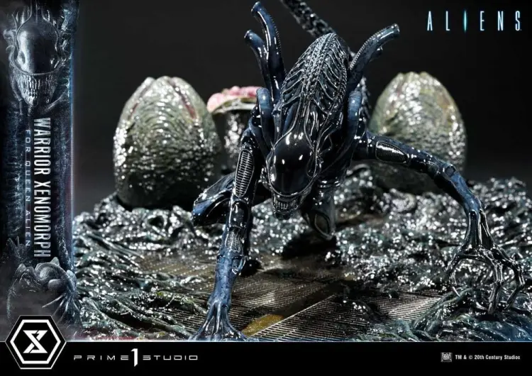 x_p1sudmal-02_j.jpg