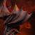 x_is33761_j.jpg