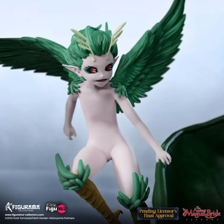 x_ficotamb01_n.jpg