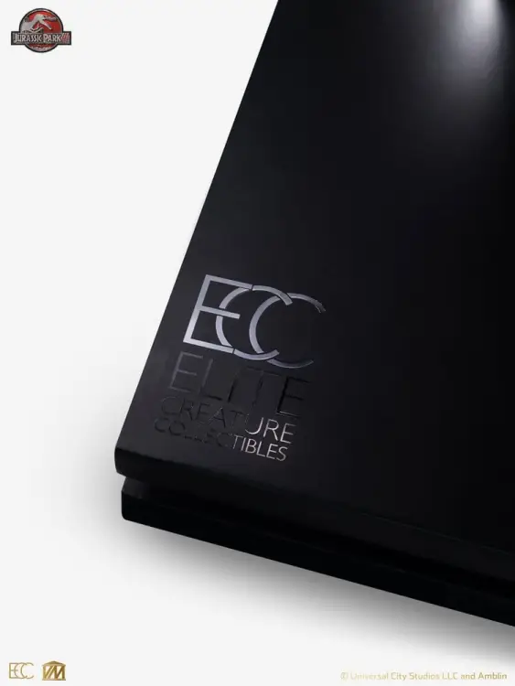 x_ecc19020_j.jpg