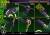 x_p1sremdc-04dx_k.jpg