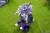x_apex42312_d.jpg