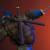 x_is33736_f.jpg