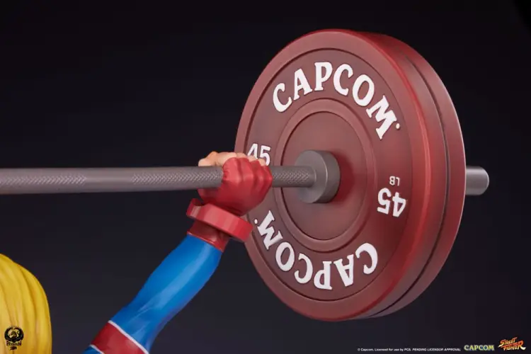 x_pcssf6camft14_n.jpg