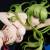 x_sun462442uc_f.jpg