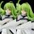x_sun462257uc_l.jpg