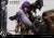 x_p1slbbgits-02_n.jpg