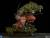 x_ss300914_f.jpg