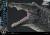 x_p1slmcjwf-06_j.jpg