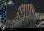x_p1slmcjwf-06_m.jpg