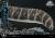 x_p1slmcjwf-06_u.jpg