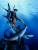 x_weta890104602_g.jpg
