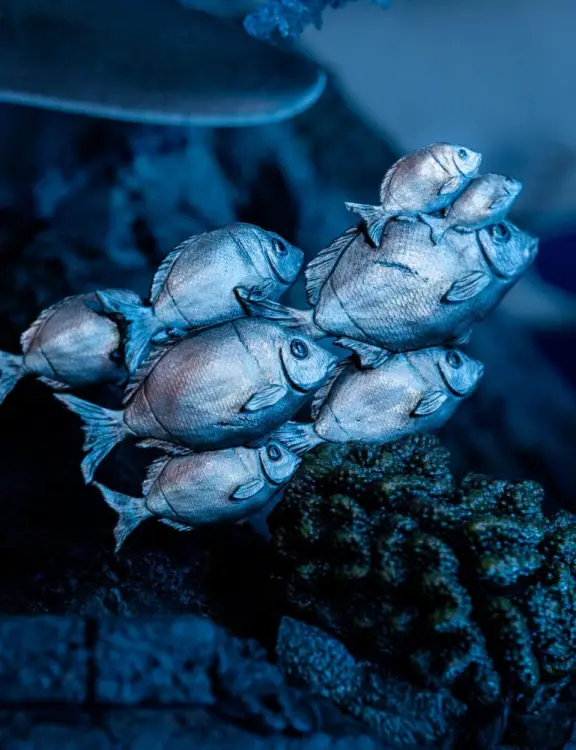 x_weta890104602_j.jpg