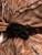 x_weta480103781_b.jpg