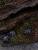 x_weta480103781_c.jpg
