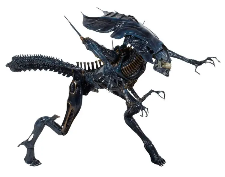 x_neca51385.jpg