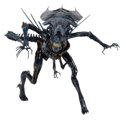 x_neca51385_a.jpg