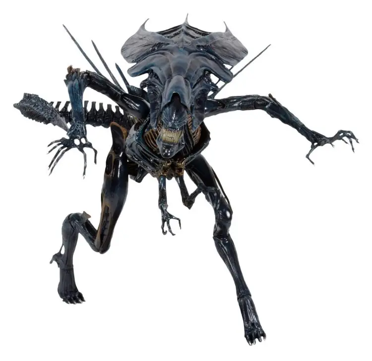 x_neca51385_a.jpg