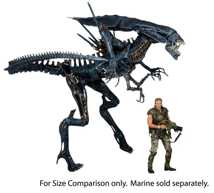 x_neca51385_b.jpg