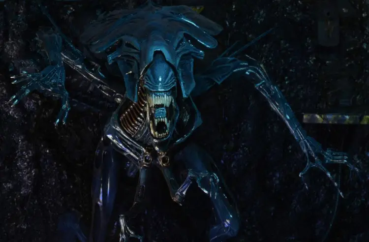 x_neca51385_d.jpg