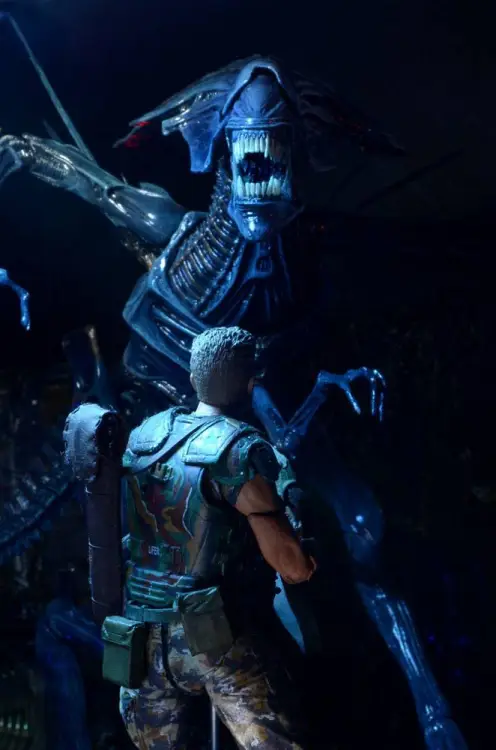 x_neca51385_e.jpg