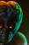 x_ss300979_f.jpg