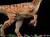 JURASSIC PARK LOST WORLD - Velociraptor Del. - Statuetka ArtScale 1/10 18 cm Statuetka ArtScale 1/10 18 cm