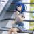 MAKEINE - Anna Yanami - Statuetka Noodle Stopper 15cm