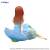 THE QUINTESSENTIAL QUINTUPLETS - Nakano "Bloo-me" - Statuetka 11cm