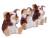 GREMLINS - Gizmo - Zestaw 3 figurek 8,2 cm