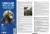 GUNDAM ACC - MECHA COLOR 69014 - Szarozielony